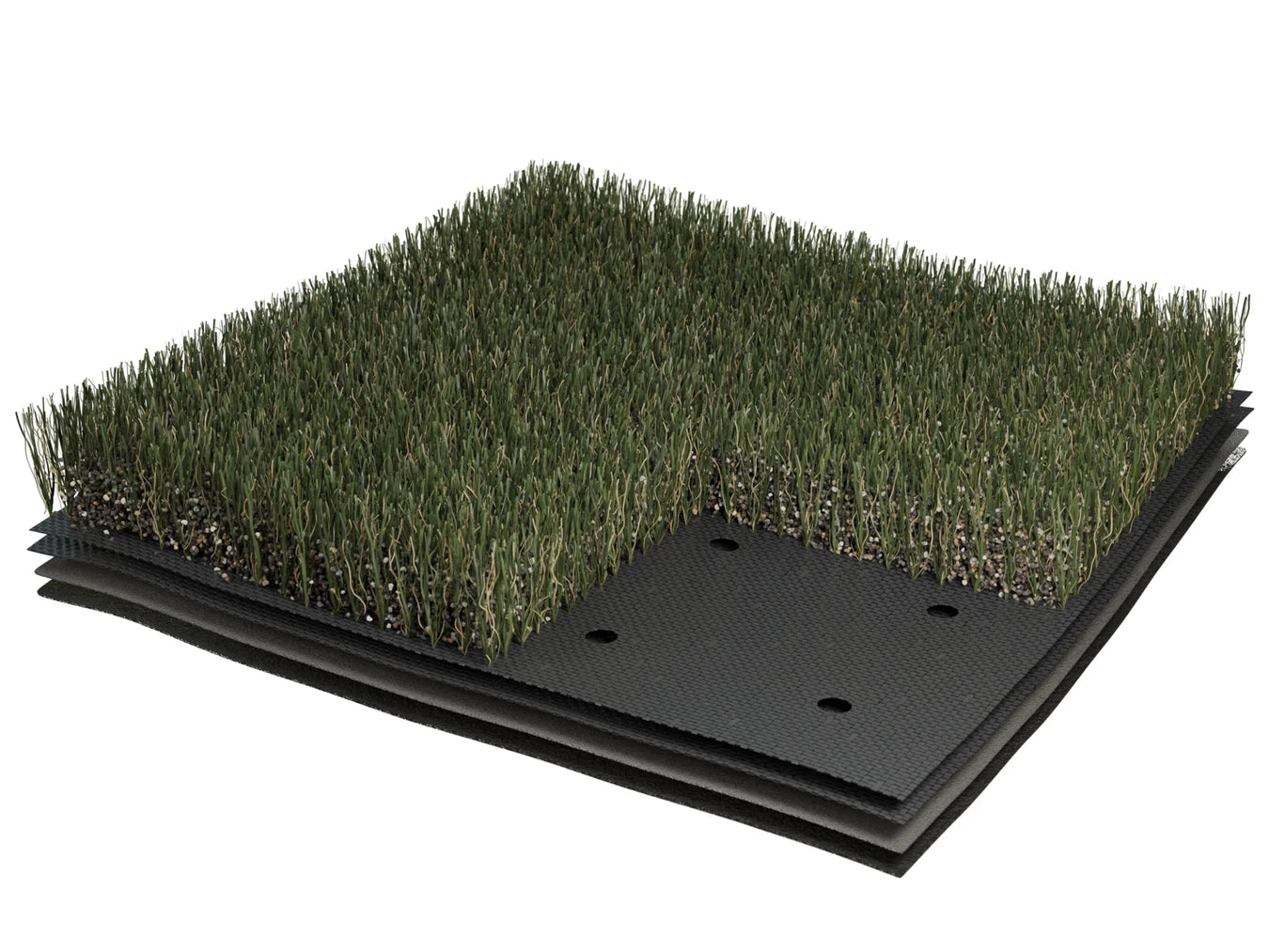 Shaw Grass Rye