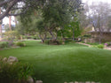 Landscape Turf