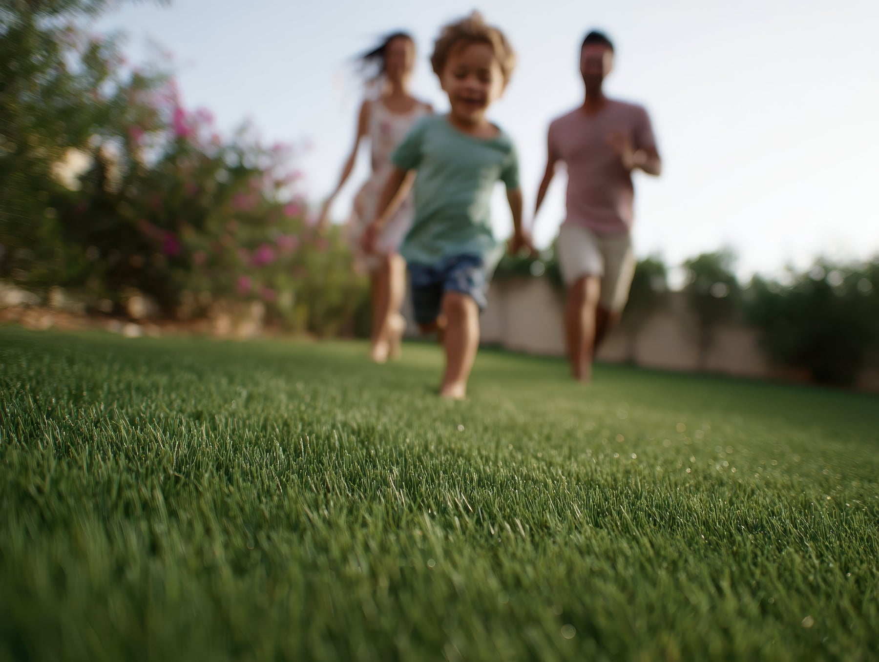 Backyard Turf