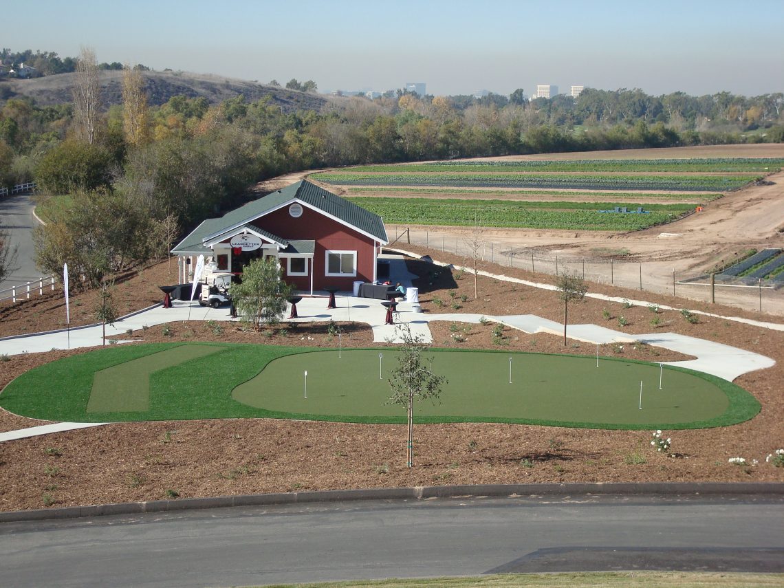 Commercial Turf