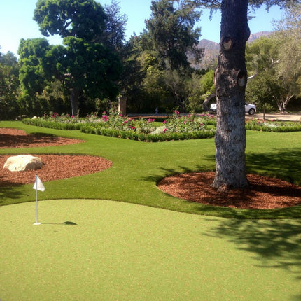 Collection image for: Golf Turf