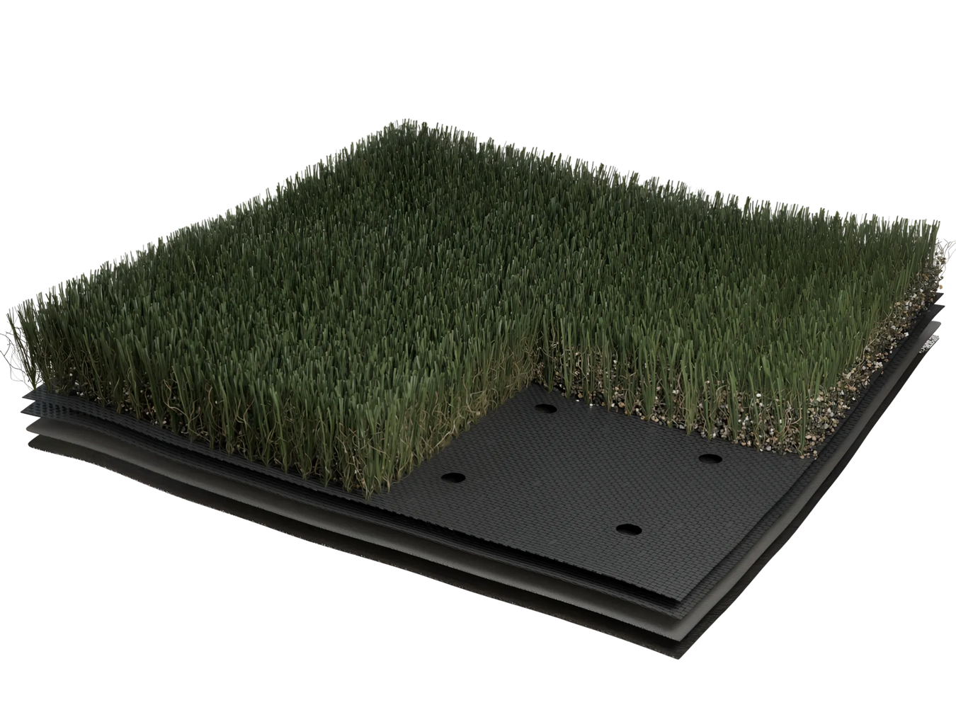 Shaw Grass Meraki