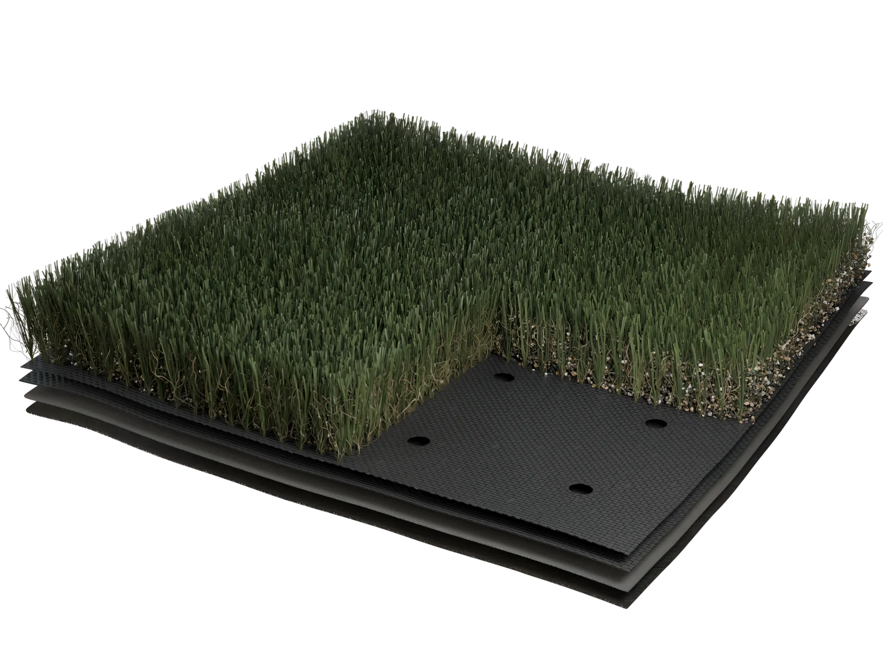 Shaw Grass Meraki