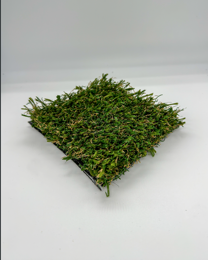 Imagination Creativity/ 74oz