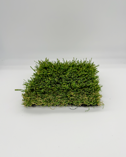 Navigation Adventure/ 92oz