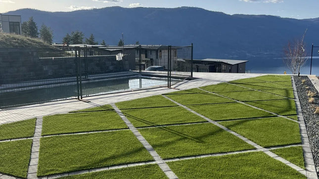 Foundations Anthem/ 88oz