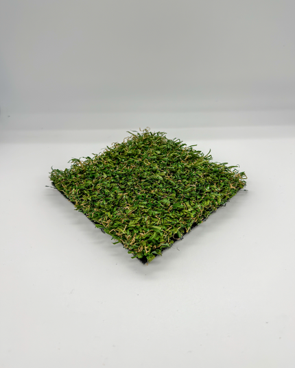 Imagination Discovery/ 62oz