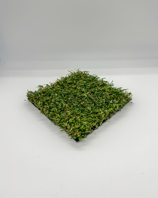 Imagination Discovery/ 62oz