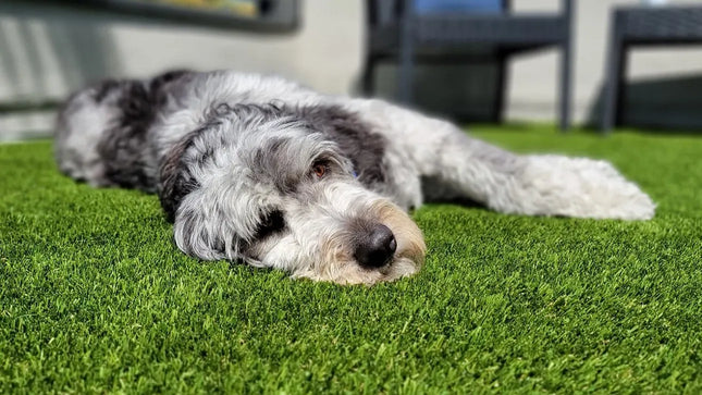 K9 Reserve Serenity/ 78oz