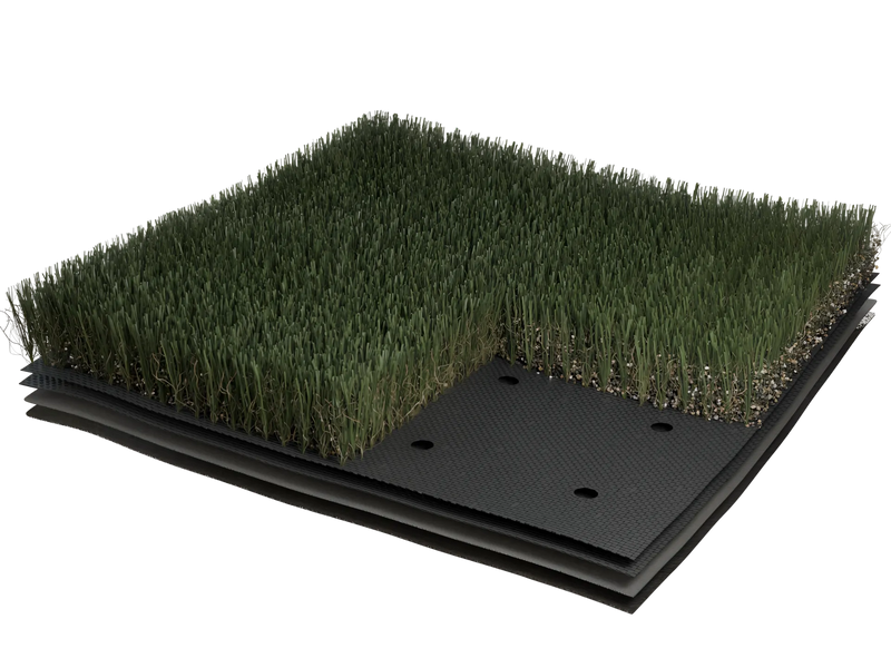 Meraki Craze/ 106oz