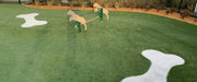 K9 Village Park/ 73oz